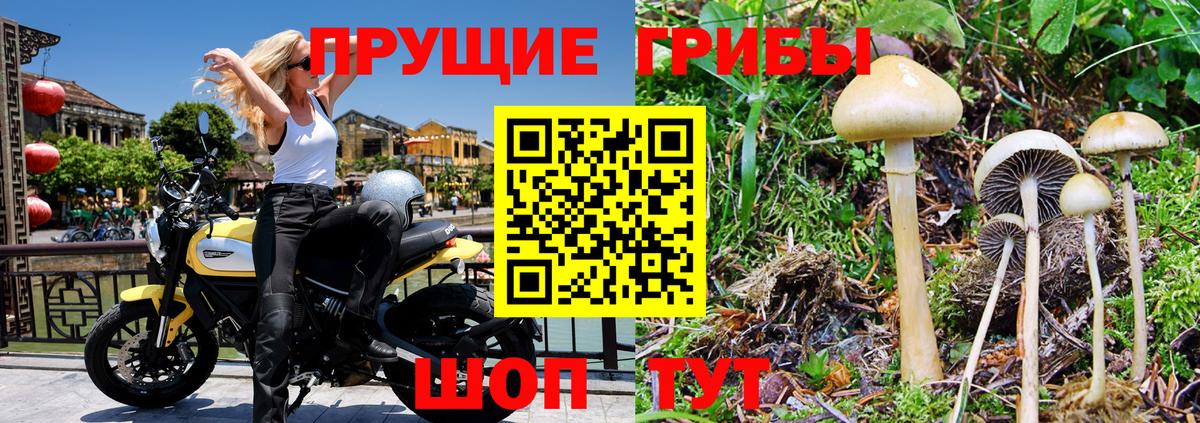 Галлюциногенные грибы MAGIC MUSHROOMS Острогожск