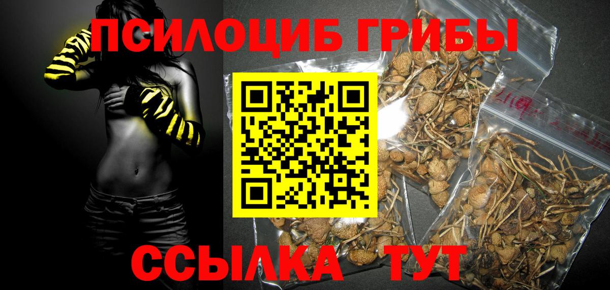МЕФ Острогожск
